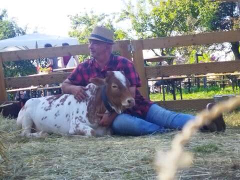 mobiele kinderboerderij donkey pronkie