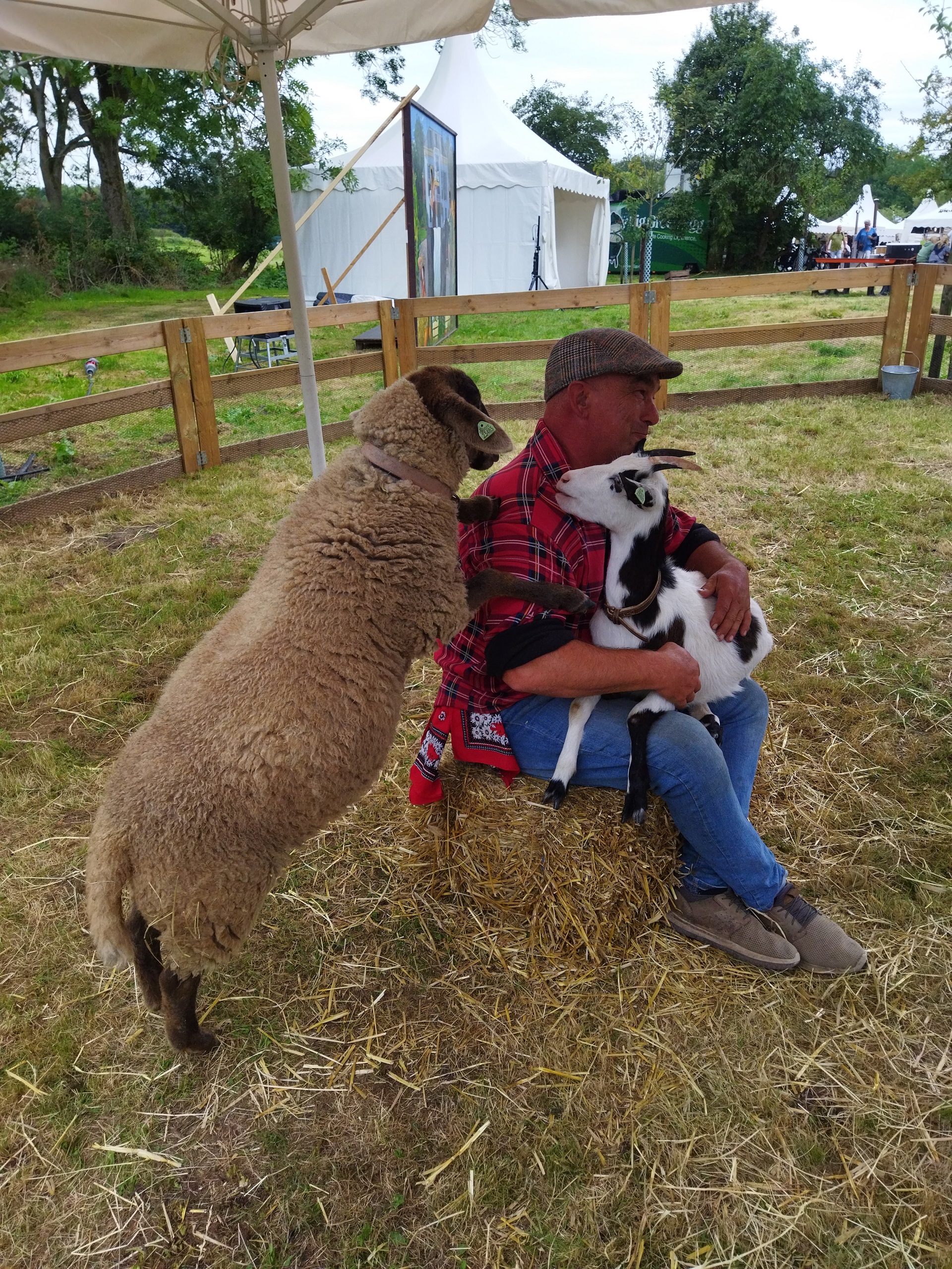 kb2 1920px mobiele kinderboerderij donkey pronkie