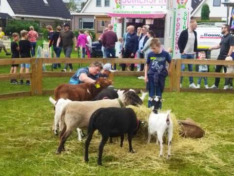 mobiele kinderboerderij donkey pronkie