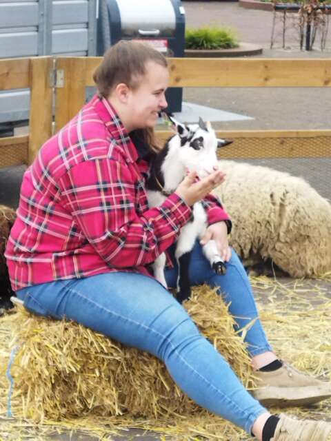 mobiele kinderboerderij donkey pronkie